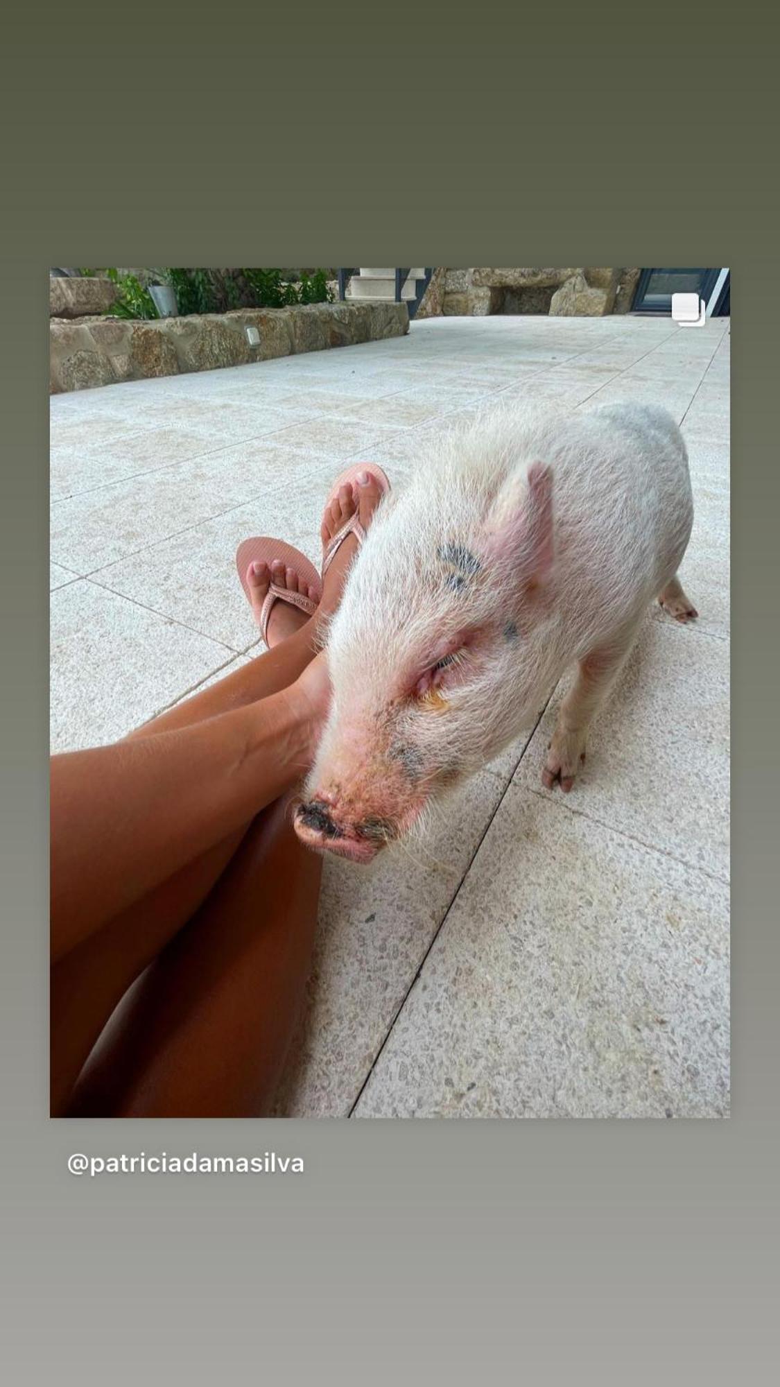 Arca Dos Animais - Farming & Spa Castelo Branco  Ngoại thất bức ảnh